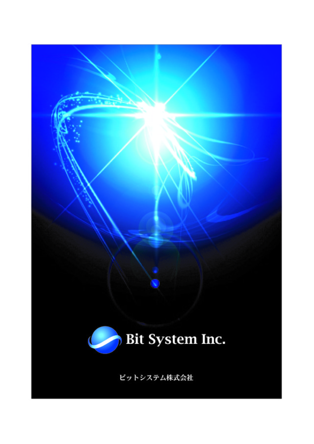 ビットシステム株式会社